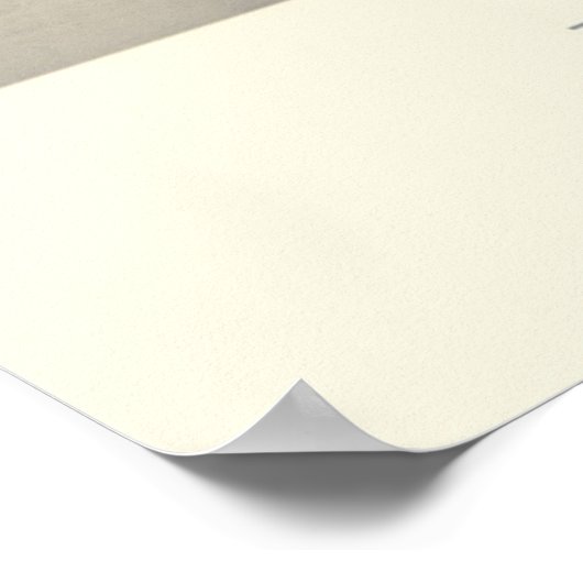 Justice Ducks Poster (Hoek)