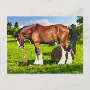 "Justin & een vriend" Briefkaart