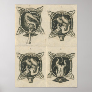 Justine Siegemund Court Verloskundige Baby Geboort Poster