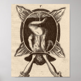 Justine Siegemund Court, verloskundige geboorteill Poster