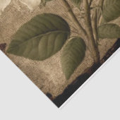 jute tissuepapier (Detail)