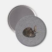 Juveniele Cottonmouth Snake Magneet (Voorkant / Achterkant)