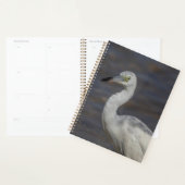 Juveniele Heron 2024 Planner (Display)