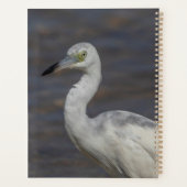 Juveniele Heron 2024 Planner (Achterkant)