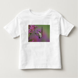 Juveniele mannelijke Ruby Throated Hummingbird Kinder Shirts