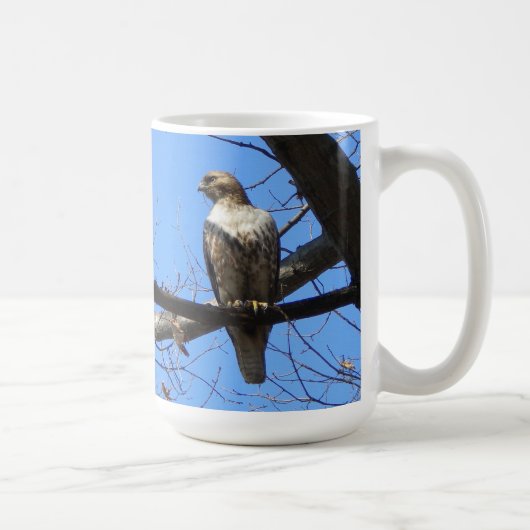 (Juveniele) Red Tailed Hawk Mok (Rechts)