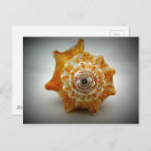 Juveniele strijkstok briefkaart (Voorkant / Achterkant)