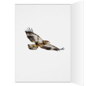 Juvenile Bald Eagle en de maan (Binnen (Links))