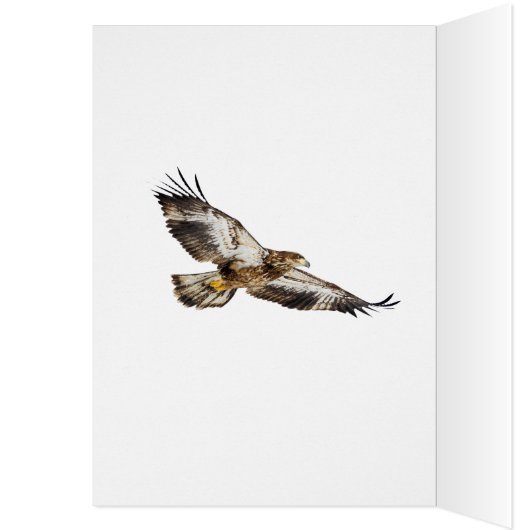 Juvenile Bald Eagle en de maan (Binnen (Links))