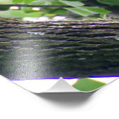 Juvenile Bald Eagle Foto Afdruk (Hoek)