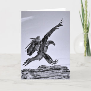 Juvenile Bald Eagle Landing Wenskaart Feestdagen Kaart