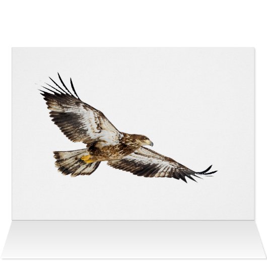 Juvenile Bald Eagle Launch (Binnen Horizontaal (Boven))