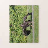 Juvenile Bald Eagle Legpuzzel (Verticaal)