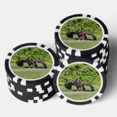 Juvenile Bald Eagle Pokerchips (Opstapeling)