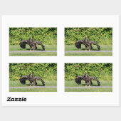 Juvenile Bald Eagle Rechthoekige Sticker (Vel)
