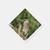 Juvenile Black Crowned Night Heron Servet (Hoek)