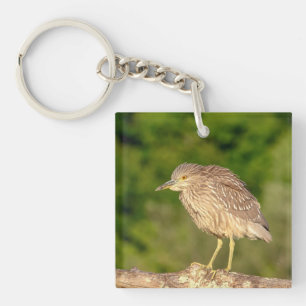 Juvenile Black Crowned Night Heron Sleutelhanger