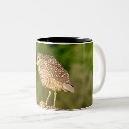 Juvenile Black Crowned Night Heron Tweekleurige Koffiemok (Voorkant rechts)