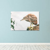 Juvenile Heron Canvas Afdruk (Insitu (Houten vloer))
