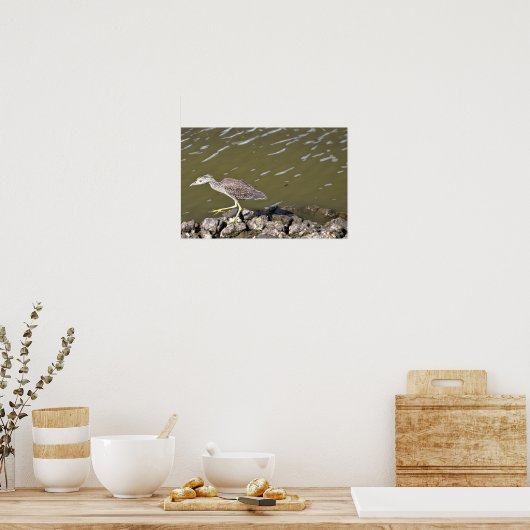 Juvenile Heron Poster (Keuken)