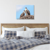 Juvenile Osprey in het nest Canvas Afdruk (Insitu (Slaapkamer))
