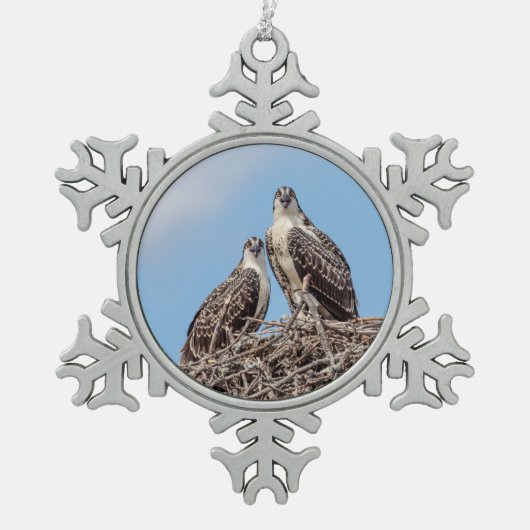 Juvenile Osprey in het nest Tin Sneeuwvlok Ornament (Voorkant)