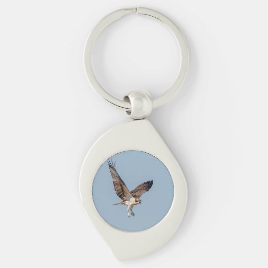 Juvenile Osprey tijdens de vlucht Sleutelhanger (Voorkant)