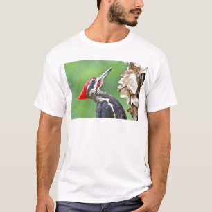 Juvenile pileated Woodpecker Profile Gifts Apparel T-shirt