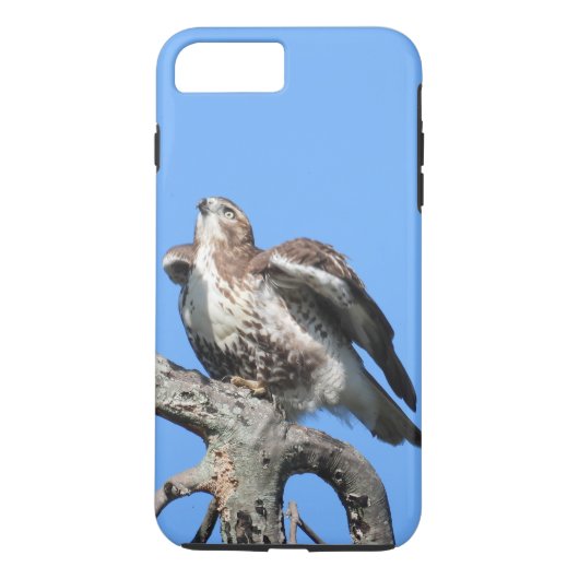 Juvenile Red Tail Hawk Case-Mate iPhone Case (Achterkant)