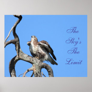 Juvenile Red Tail Hawk Motivatie Poster