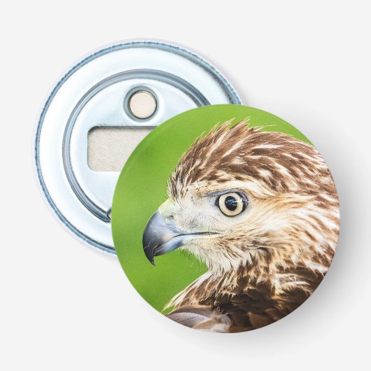 Juvenile Red Tailed Hawk Button Flesopener (Voorkant)