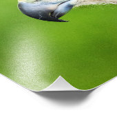 Juvenile Red Tailed Hawk Foto Afdruk (Hoek)