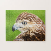Juvenile Red Tailed Hawk Legpuzzel (Horizontaal)
