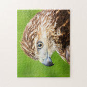 Juvenile Red Tailed Hawk Legpuzzel (Verticaal)
