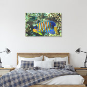 Juvenile Regal Angelfish Pygoplites Canvas Afdruk (Insitu (Slaapkamer))