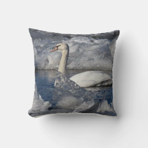 Juvenile Swan in de rivier Icey Kussen