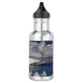 Juvenile Swan in de rivier Icey Waterfles (Rechts)