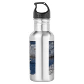 Juvenile Swan in de rivier Icey Waterfles (Achterkant)