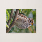 Juvenile White-Crowned Sparrow Legpuzzel (Horizontaal)