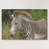 Juvenile Zebra Legpuzzel (Horizontaal)