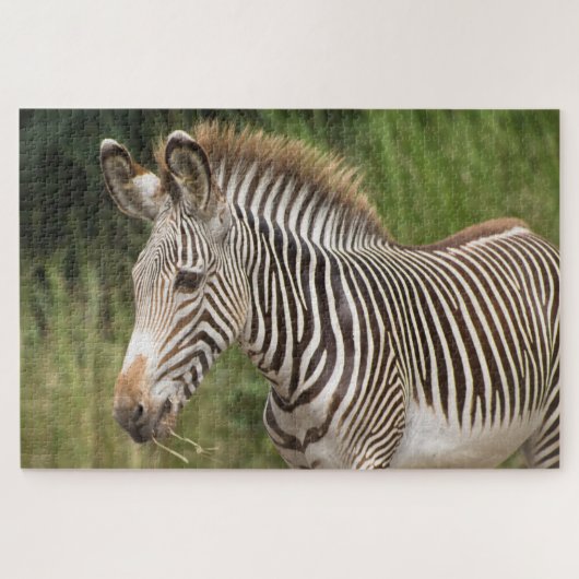 Juvenile Zebra Legpuzzel (Horizontaal)