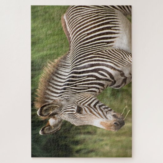 Juvenile Zebra Legpuzzel (Verticaal)