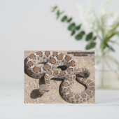 Juvenille Black RattleSnake Briefkaart (Staand voorkant)