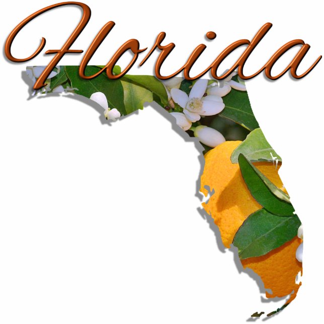 Juwelen - Pin - FLORIDA Fotobeeldje Magneet (Voorkant)
