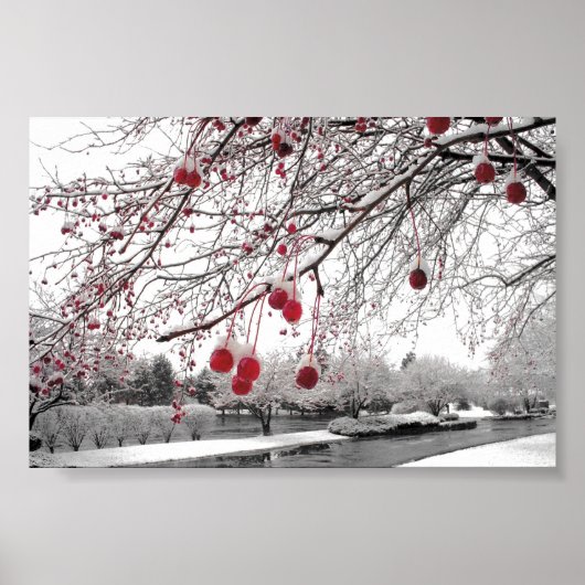 K&K Winter Berry Poster (Voorkant)