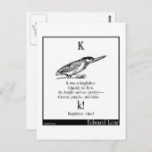 K was een ijsvogel briefkaart (Voorkant / Achterkant)