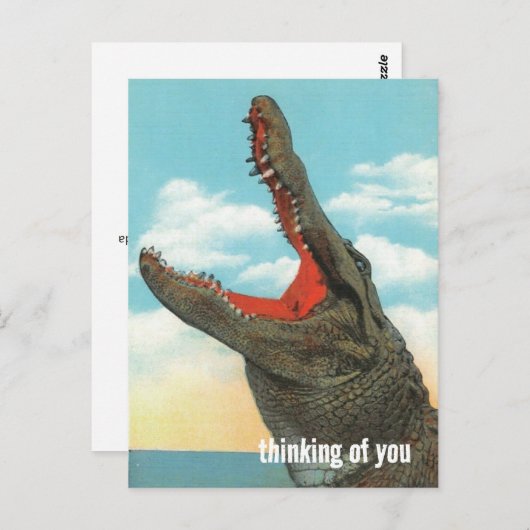 Kaaiman Bijt Briefkaart (Voorkant / Achterkant)