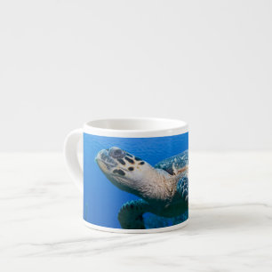 Kaaimaneilanden, Little Cayman-eiland, Onderwater Espresso Kop