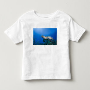 Kaaimaneilanden, Little Cayman-eiland, Onderwater Kinder Shirts