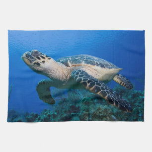 Kaaimaneilanden, Little Cayman Island, Onderwater Theedoek